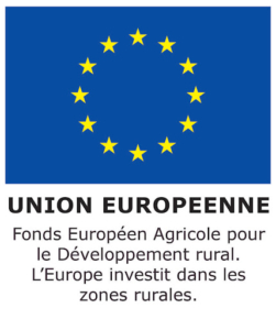 Logo FEADER UE