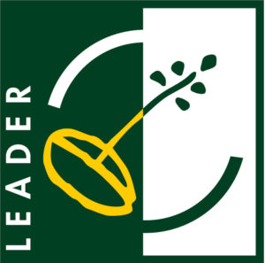Logo Leader 300x297